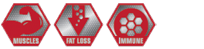 Key Features